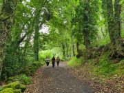 Camino de Santiago