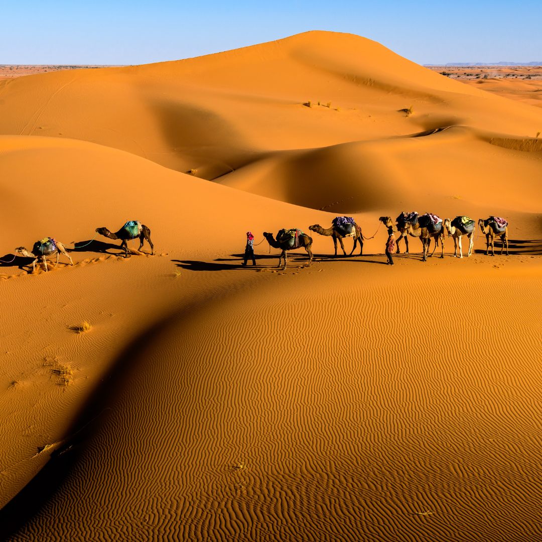 20 de septiembre: Marrakech – Ait Ben Haddou – Ouarzazate – Valle del Draâ – Desierto de Zagora