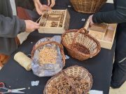 Hotel d'insectes