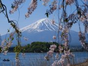 fuji
