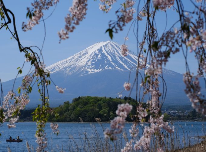 fuji