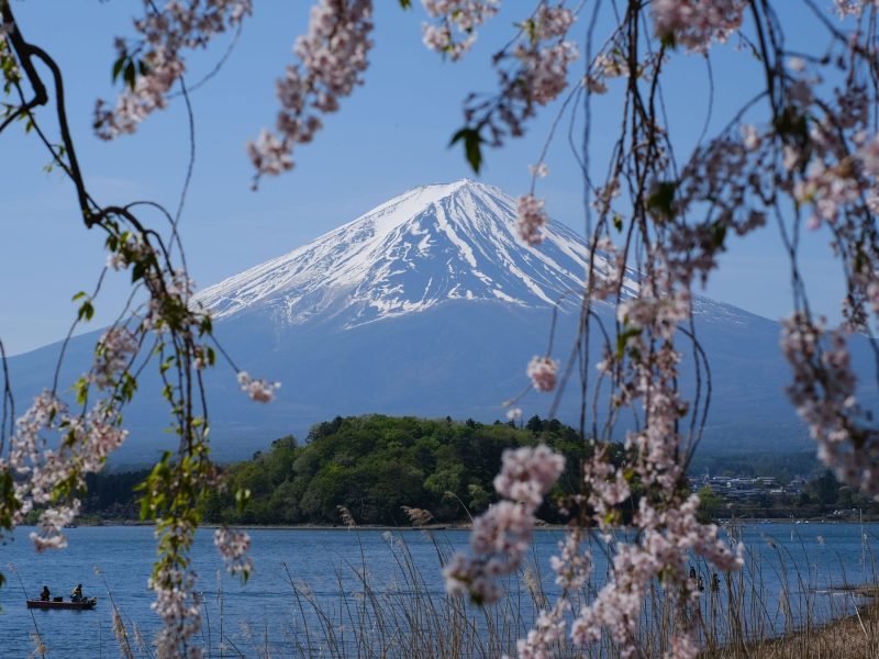 fuji
